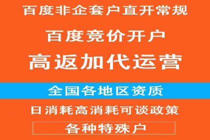 竞价推广的创意广告文案：从构思到执行的完整案例